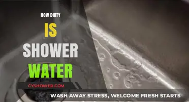 Shocking Truth: How Dirty Is Your Shower Water?