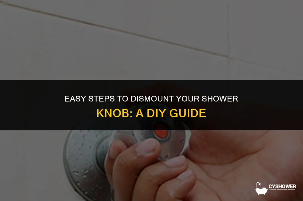 how dismount shower knob