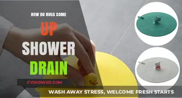 Why Bugs Crawl Up Your Shower Drain: Causes and Solutions