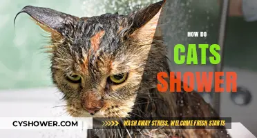 The Purr-fect Guide: How Do Cats Shower?