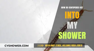Why Centipedes Invade Showers: Causes, Prevention, and Quick Solutions