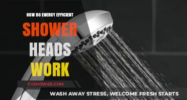 How Energy-Efficient Shower Heads Save Water and Reduce Bills