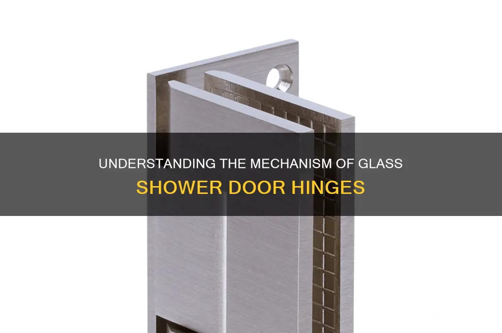 how do glass shower door hinges work