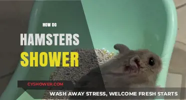 Bath Time Bliss: The Adorable Art of Hamster Showers