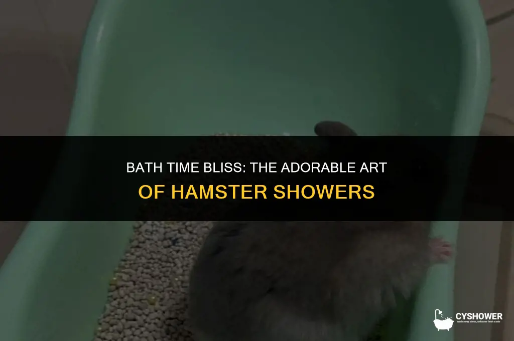 how do hamsters shower