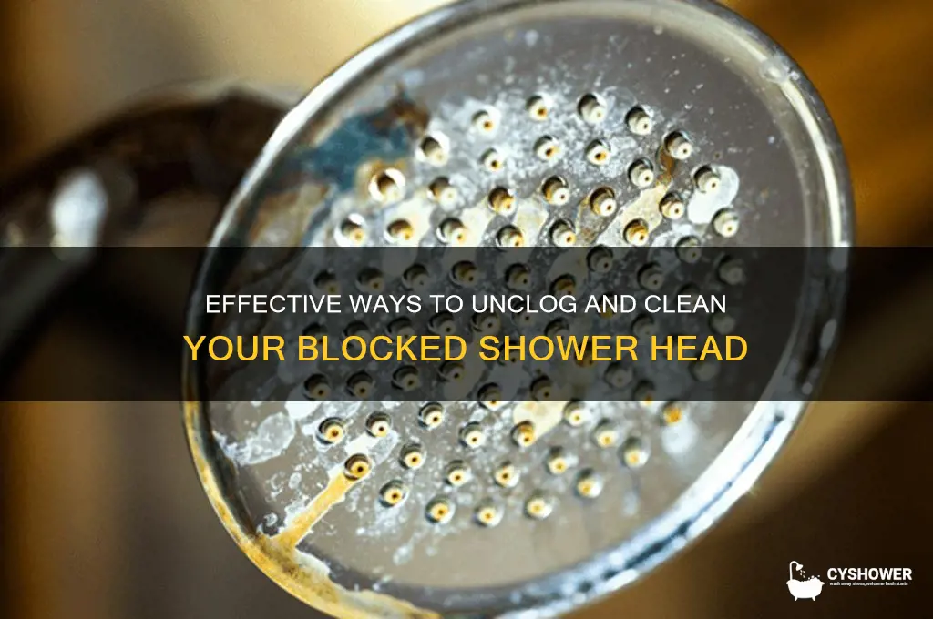 how do i clean a blocked shower head