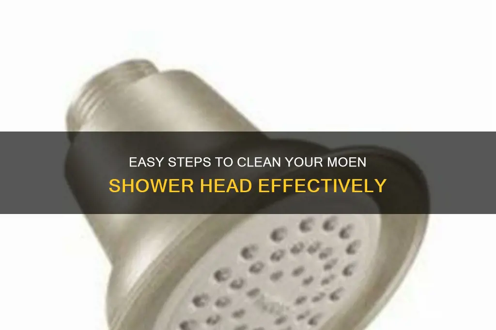 how do i clean a moen shower head
