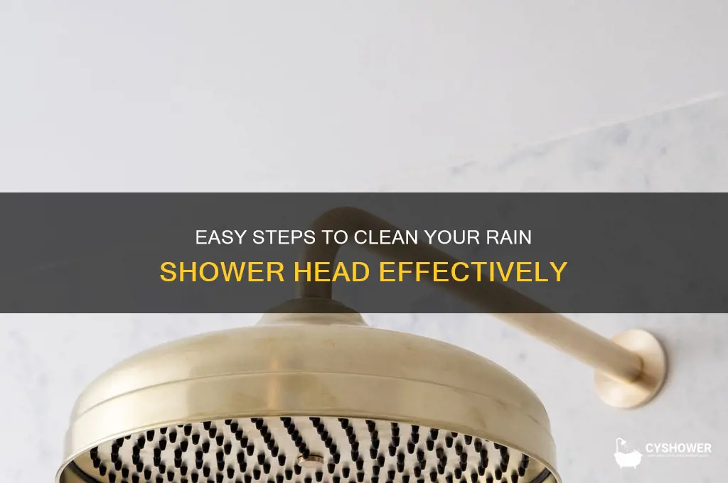 how do i clean my rain shower head