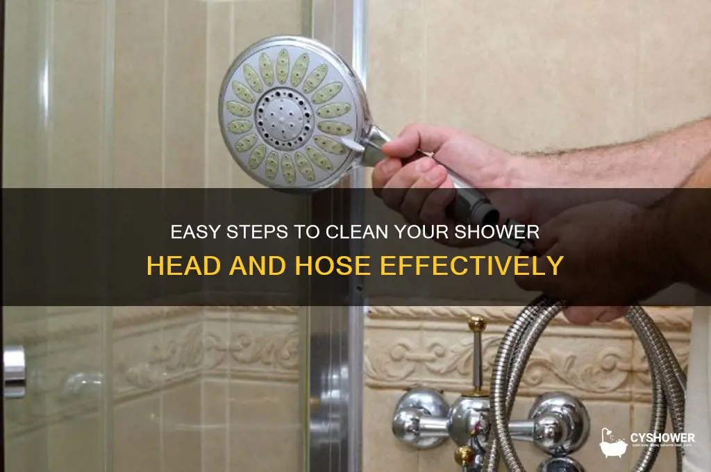 how do i clean my shower head and hose