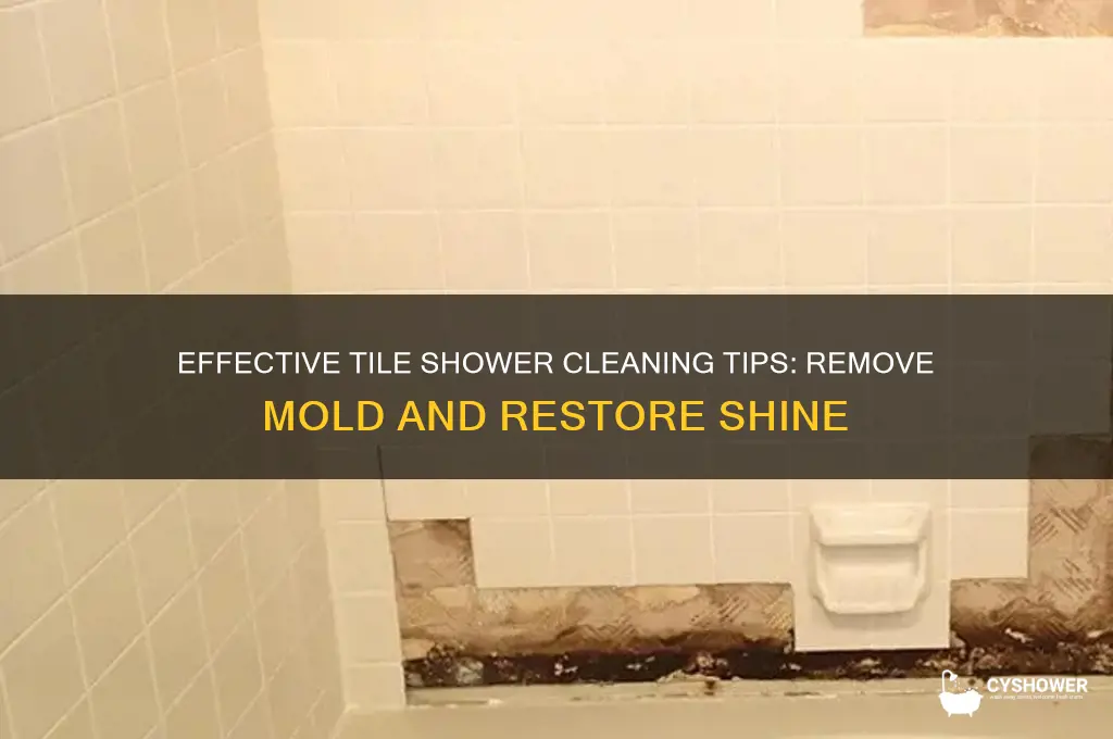 how do i clean my tile shower remove mold