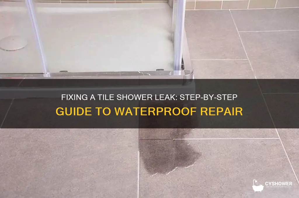 how do i cure a tile shower leak