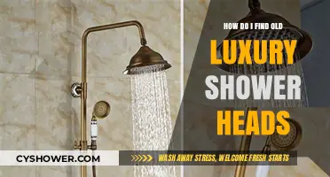 Discovering Vintage Luxury: A Guide to Finding Old Shower Heads