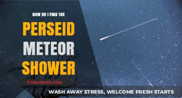Spotting the Perseid Meteor Shower: A Beginner's Guide to Stargazing