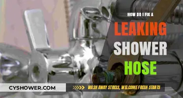 Quick DIY Guide to Repairing a Leaking Shower Hose Easily