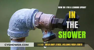 Quick DIY Guide to Fixing a Leaking Shower Spigot Easily