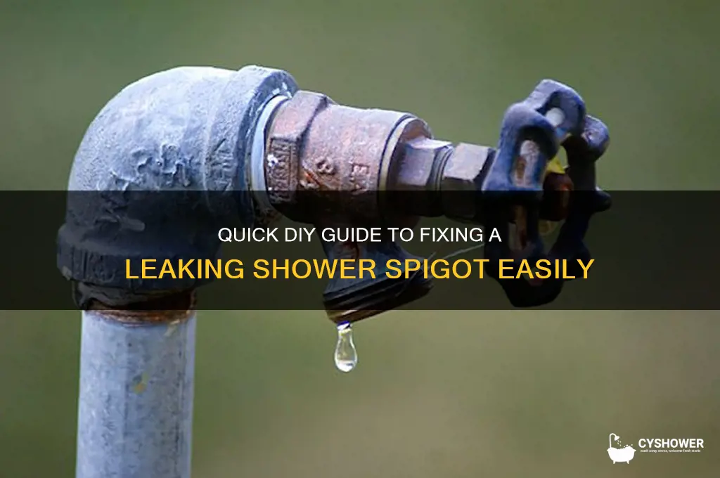 how do i fix a leaknig spigot in the shower