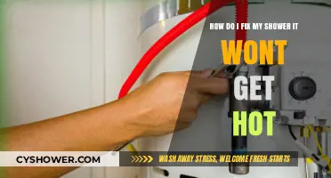 Troubleshooting Your Shower: Quick Fixes for No Hot Water Issues