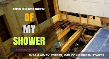 Effective Ways to Remove Black Mold from Your Shower