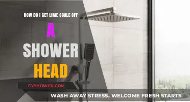Effective Ways to Remove Lime Scale from Your Shower Head