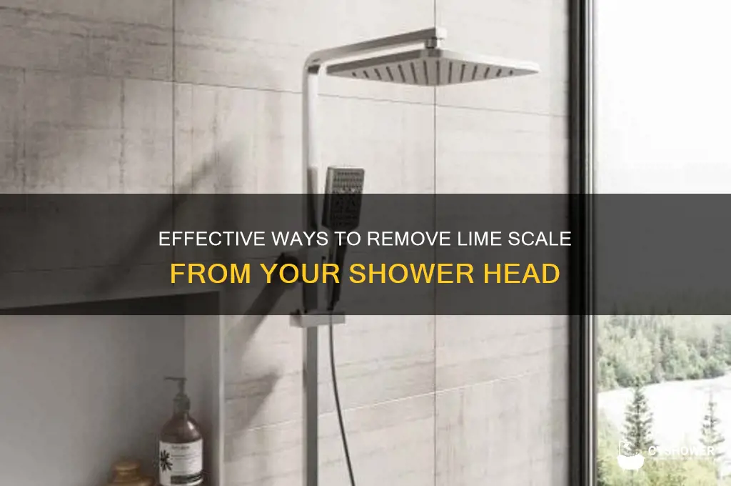 how do i get lime scale off a shower head