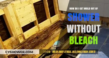 Effective Bleach-Free Methods to Remove Mold from Your Shower