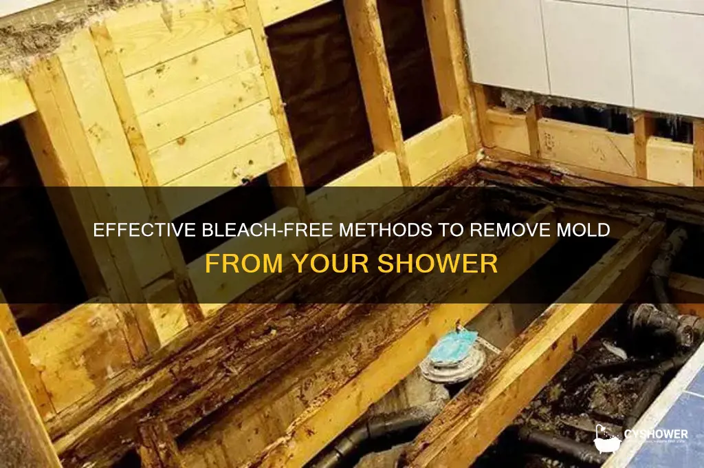 how do i get mold out of shower without bleach