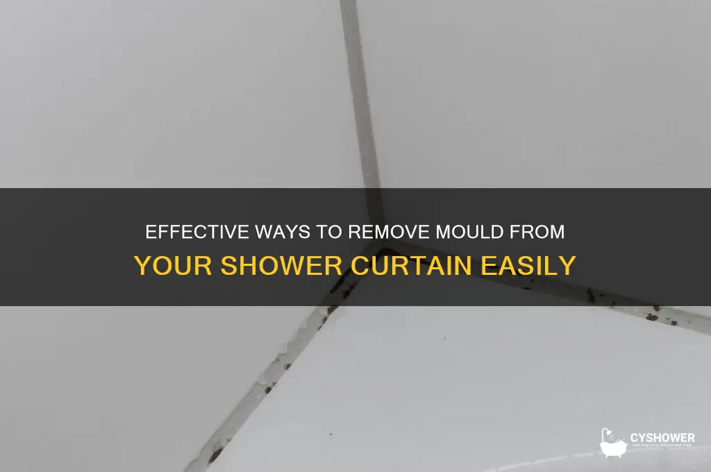 how do i get mould off a shower curtain