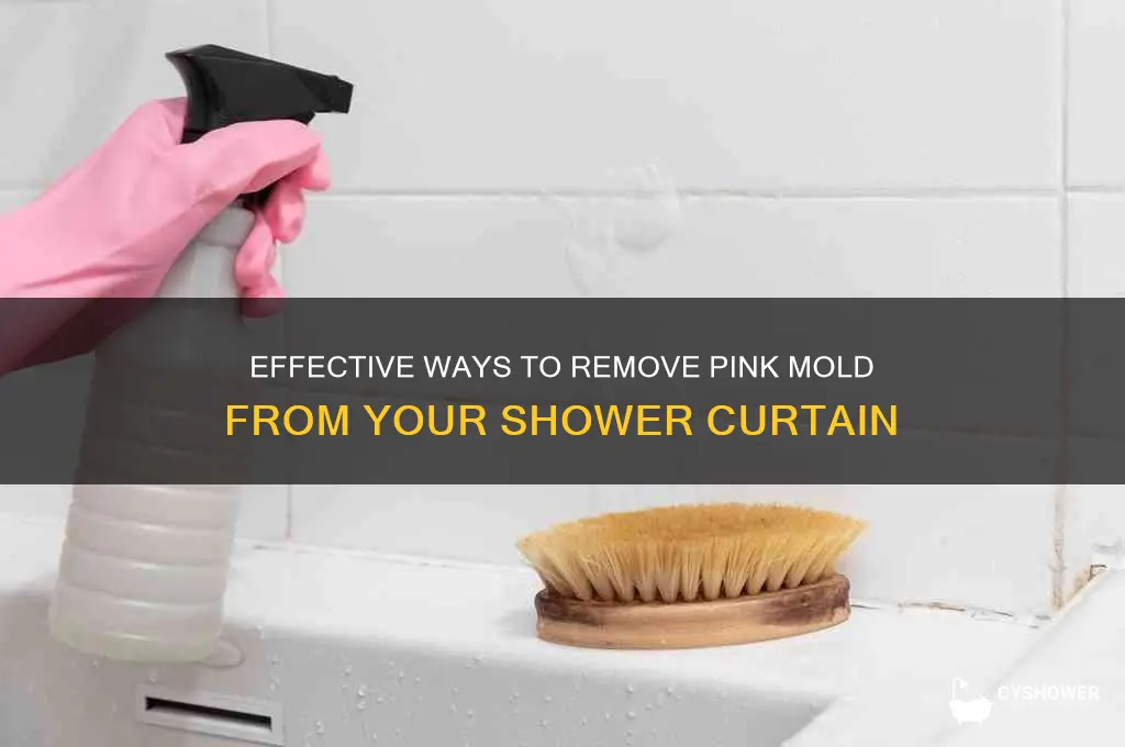 how do i get pink mold off my shower curtain