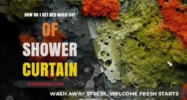 Effective Ways to Remove Red Mold from Your Shower Curtain