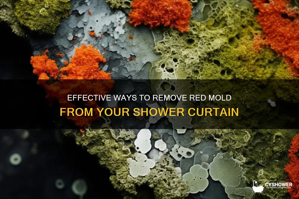 how do i get red mold out of shower curtain