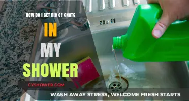 Effective Ways to Eliminate Gnats from Your Shower Quickly and Easily