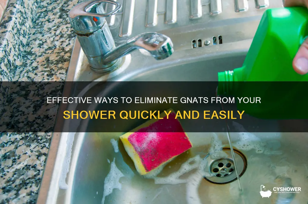 how do i get rid of gnats in my shower