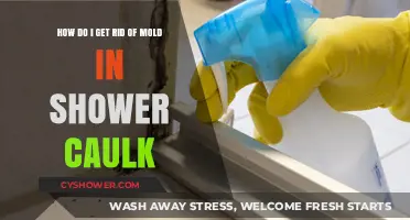 Effective Ways to Remove Mold from Shower Caulk Permanently
