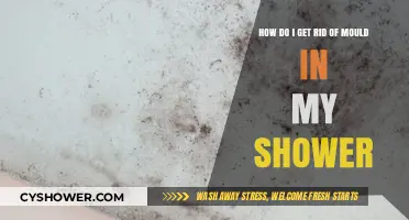 Effective Ways to Eliminate Shower Mould and Prevent Regrowth