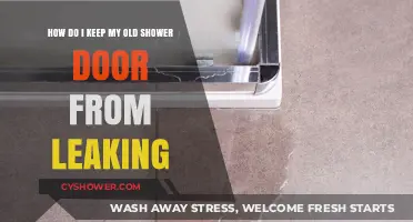 Stop Shower Door Leaks: Simple Fixes for Older Enclosures