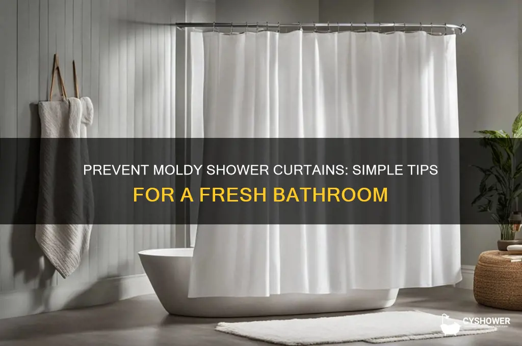 how do i keep my shower curtain from getting moldy