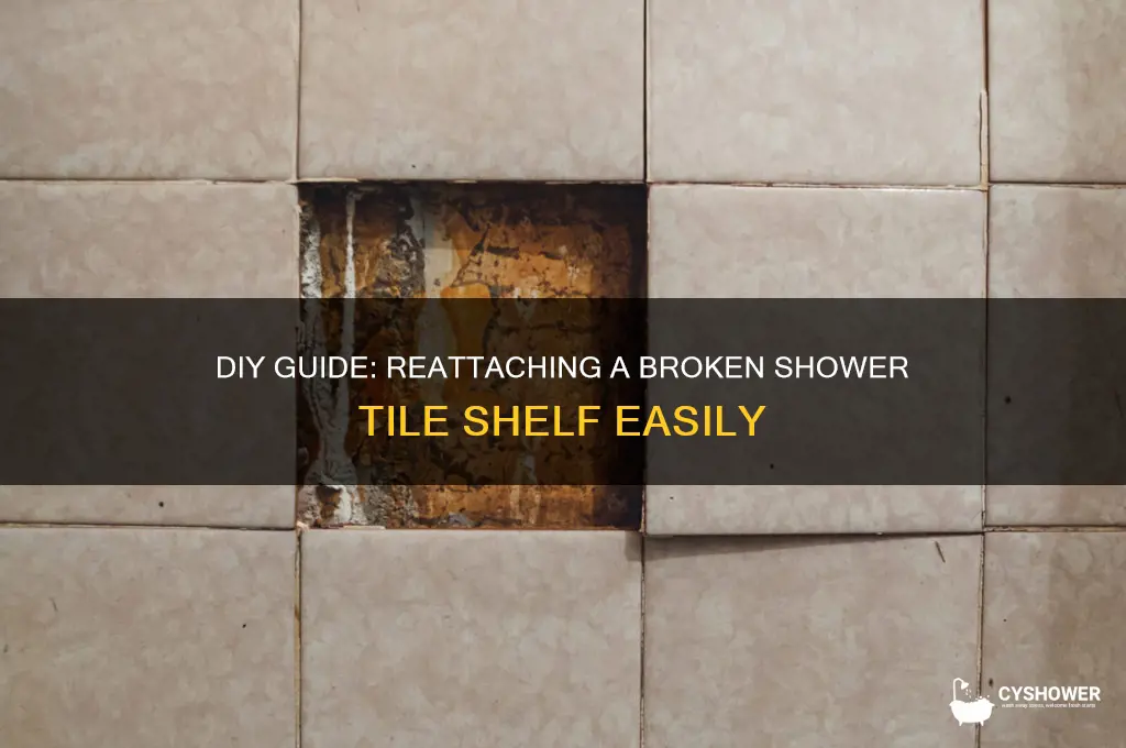 how do i reattach a broken shower tile shelf