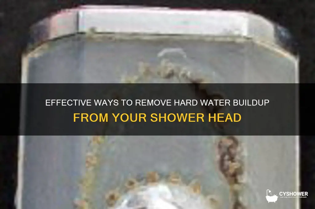how do i remove hard water from a shower head