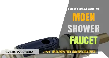 Step-by-Step Guide to Replacing a Moen Shower Faucet Gasket