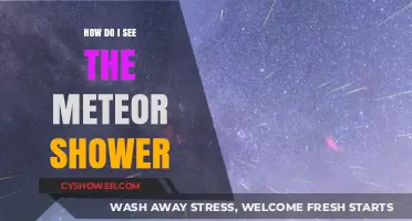 Stargazing Guide: How to Spot the Meteor Shower Tonight