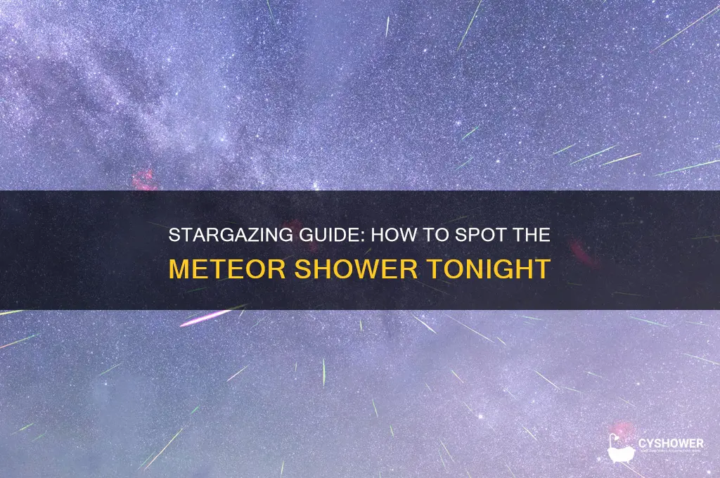 how do i see the meteor shower