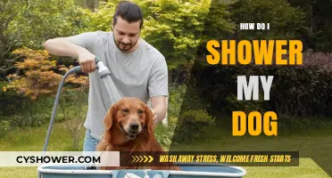 Bath Time Bliss: A Step-by-Step Guide to Showering Your Dog