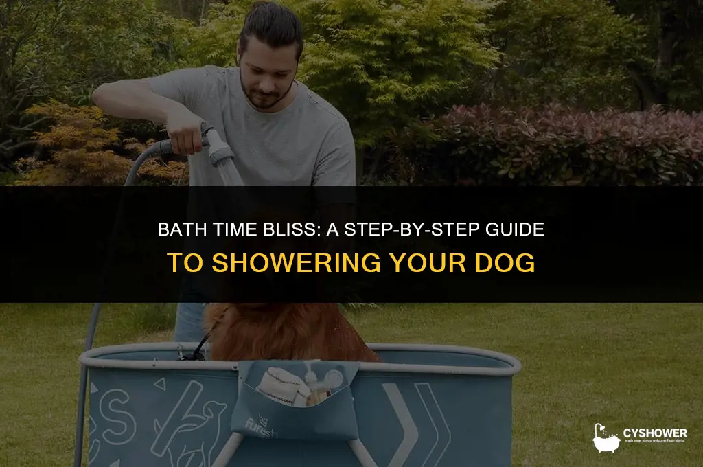 how do i shower my dog