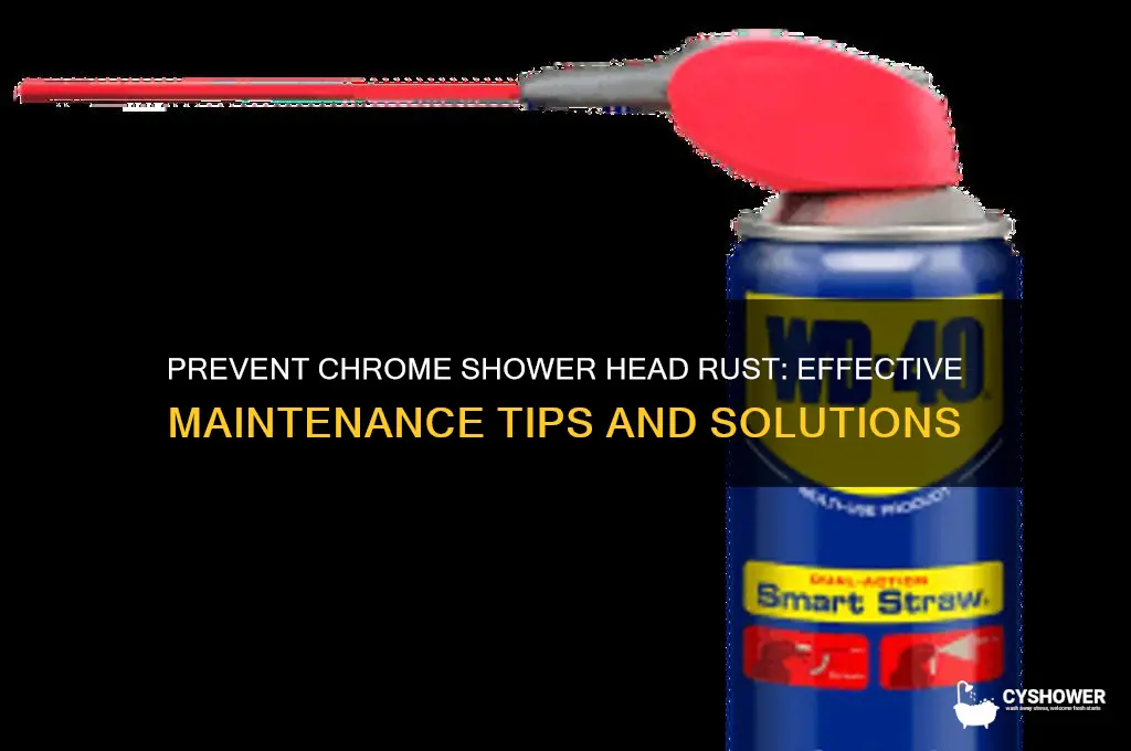 how do i stop chrome shower head from rusting