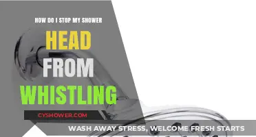 Stop the Annoying Shower Head Whistle: Quick Fixes and Tips