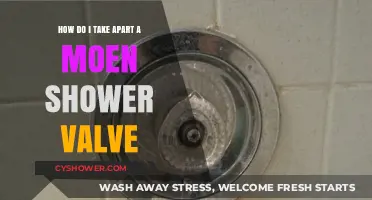 Step-by-Step Guide to Disassembling a Moen Shower Valve Easily