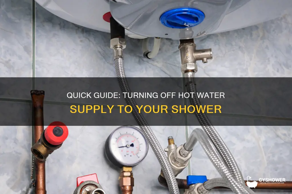 how do i turn off hot water supply to shower