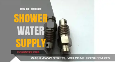 Quick Guide: Turning Off Your Shower Water Supply Easily