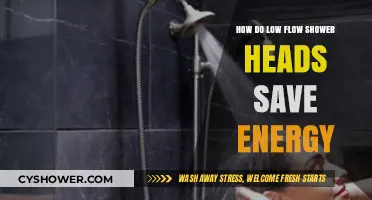 Low Flow Shower Heads: Energy-Saving Benefits and Water Conservation Tips
