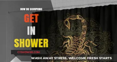 Scorpions in the Shower: How They Enter and How to Prevent It